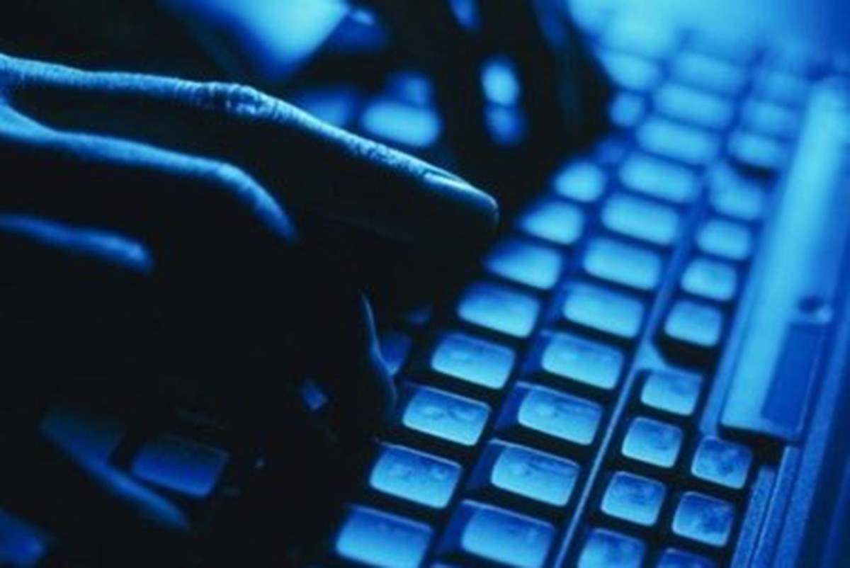 8ea3ae024a97462566c3.jpg