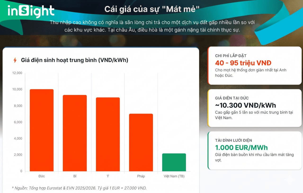 8ebec5382ea611a525b8.png