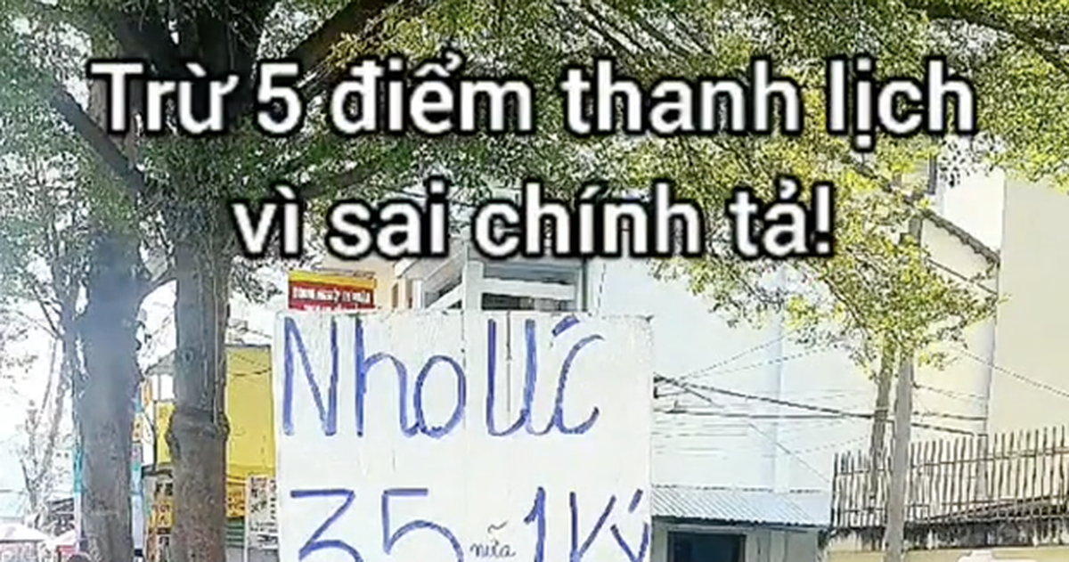 8ec6d8a954ef18debf1d.png