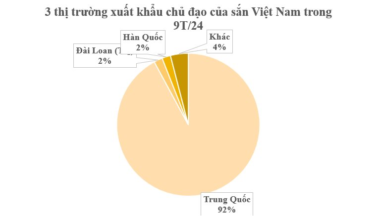 8ec892316cac28e6738d.png