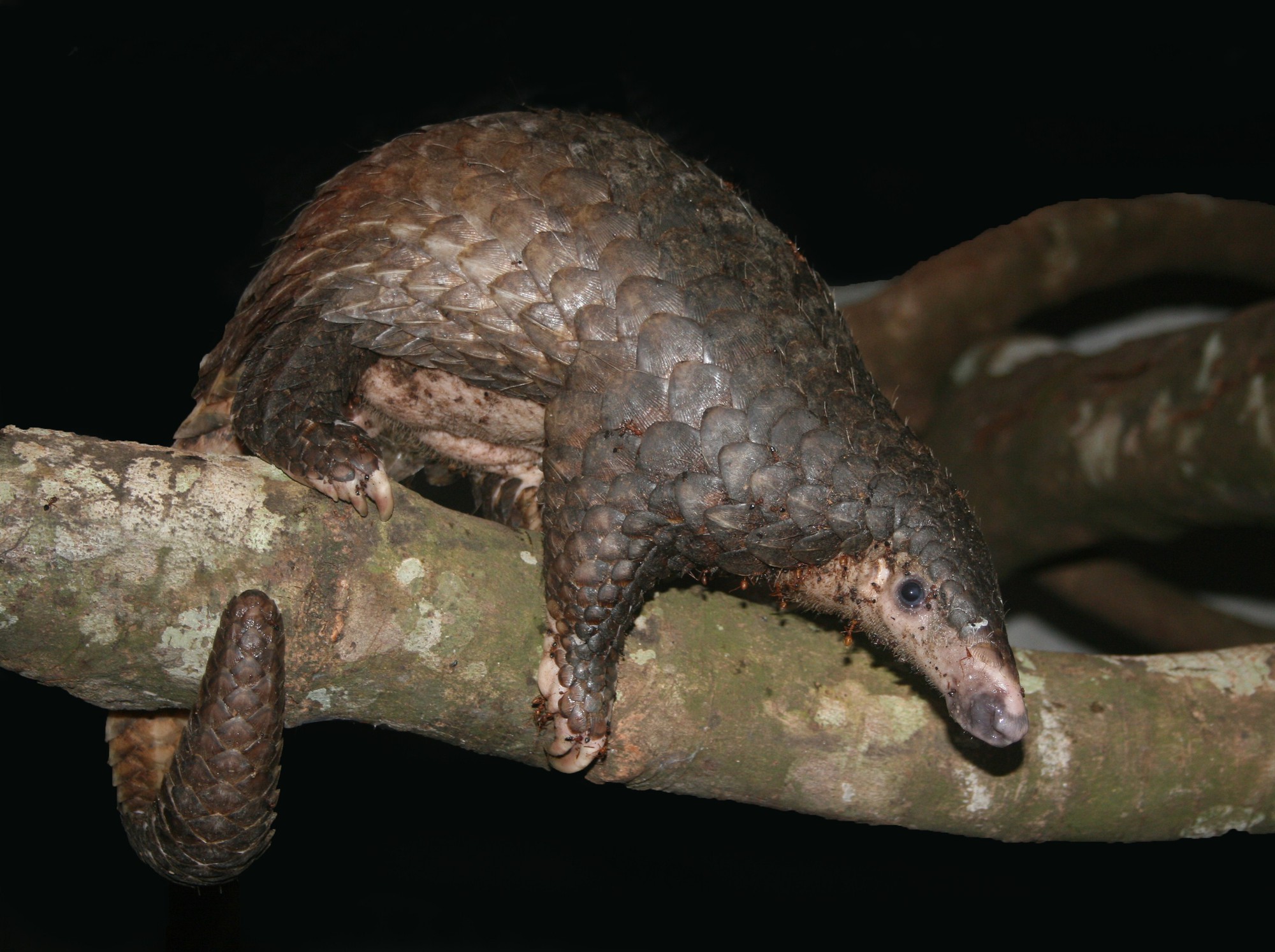 8ee8804f18e3072a2b9c.jpg
