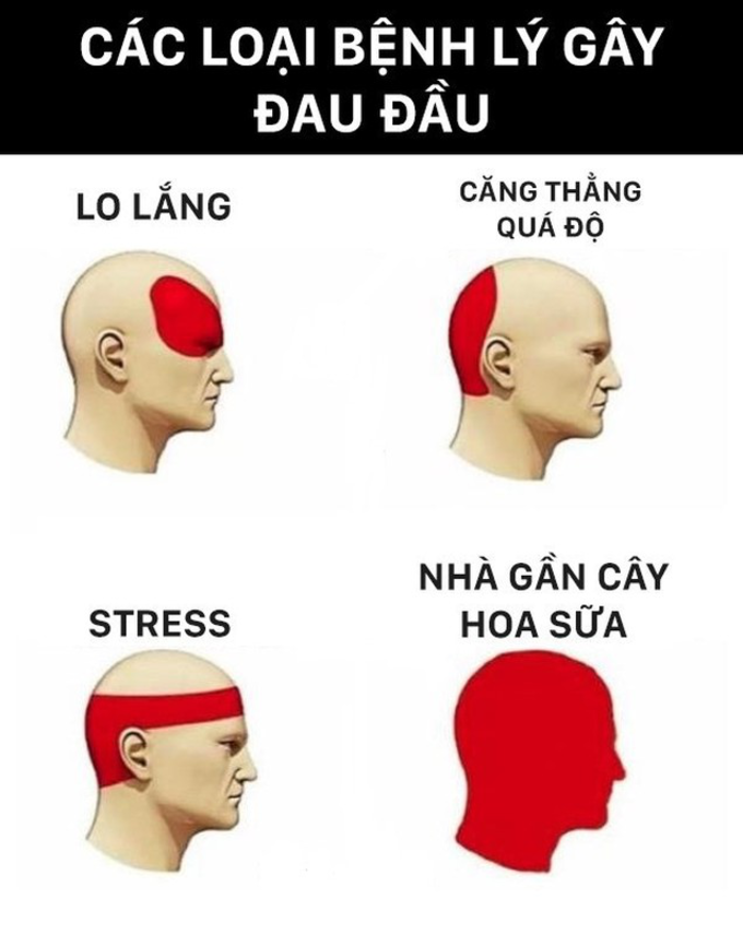 8ef1cfab775908317aad.png