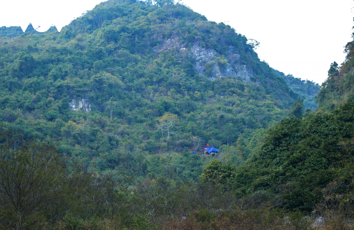 8f34d0731703b0c6f0ab.jpg