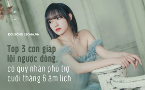 8f81f4fd2f1919b4693c.png