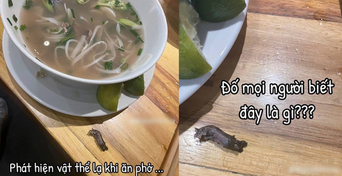 8f9f25c16f9981c1ea42.jpg