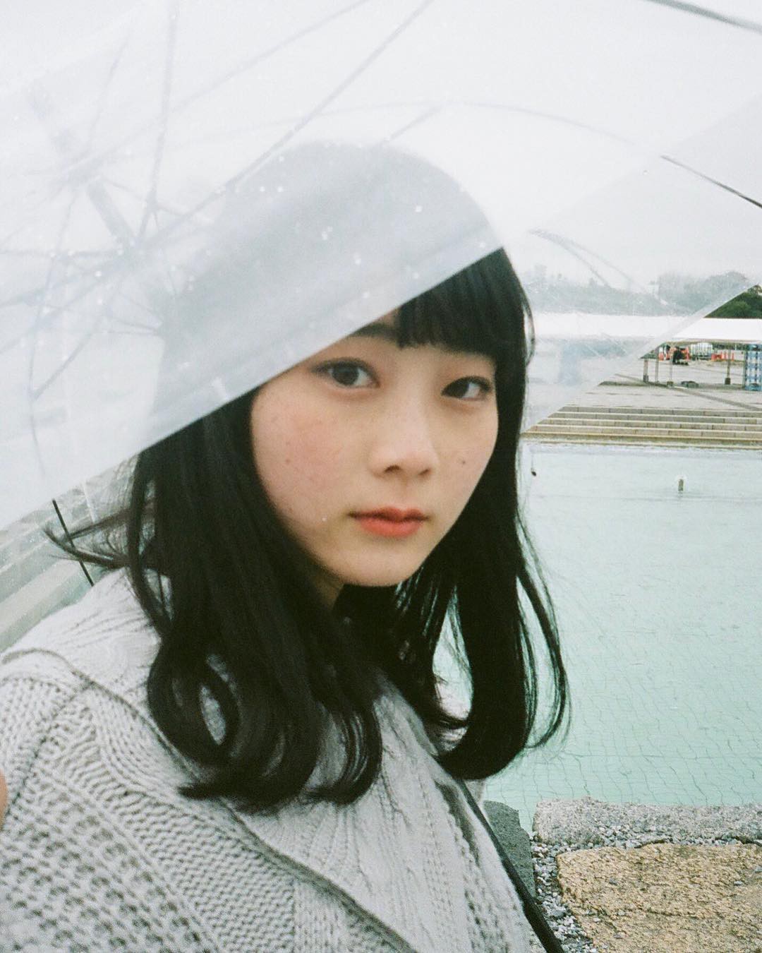 8fd08a9d8c93ba4256cb.jpg