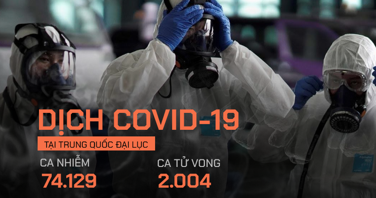 8fd52287278dbdd5fcda.png