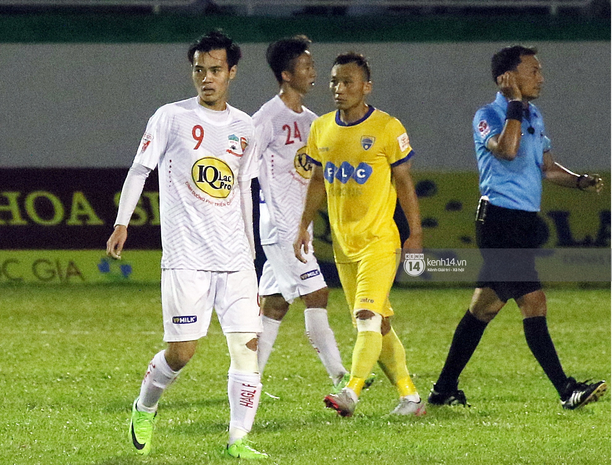 8ff72a0ac2cacc65dc3f.jpg