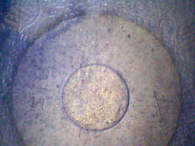 9025e91cb50de25904f4.jpg