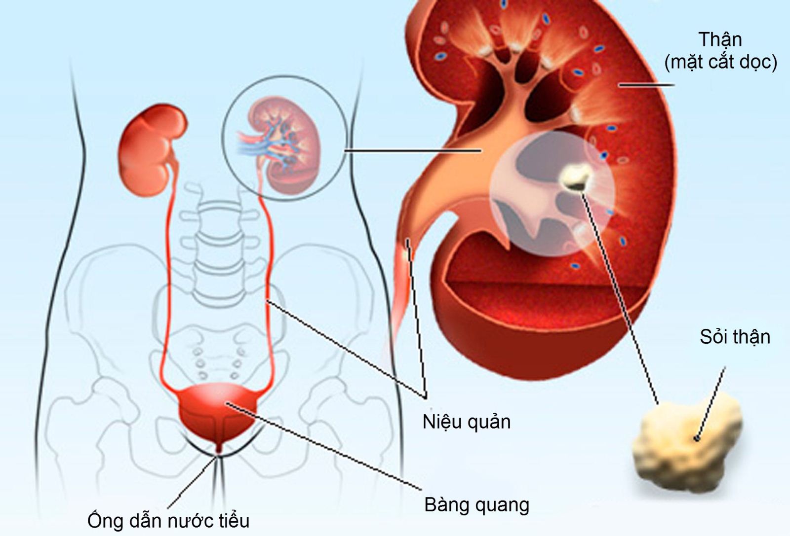 903a0433edeadde12bbb.jpg