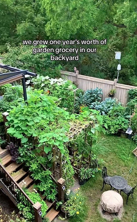 9053d87e28bf23f7e778.jpg