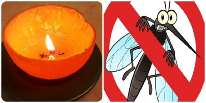 908a1c7633ab9da1943e.png