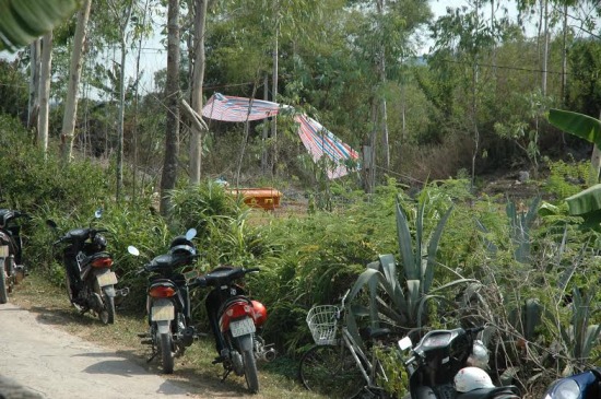910cc3747007e444ac93.jpg