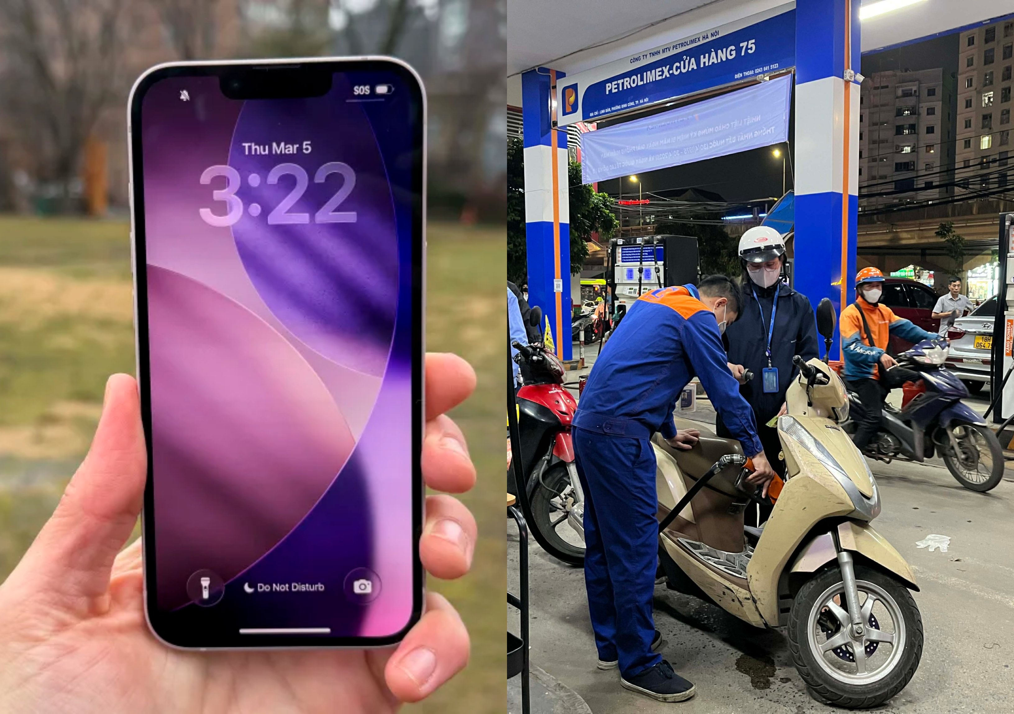 9112de02bb446b5981bc.jpg