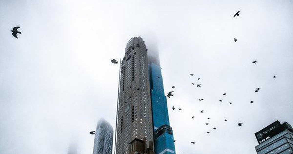 913a429fcf85def7ae11.jpg