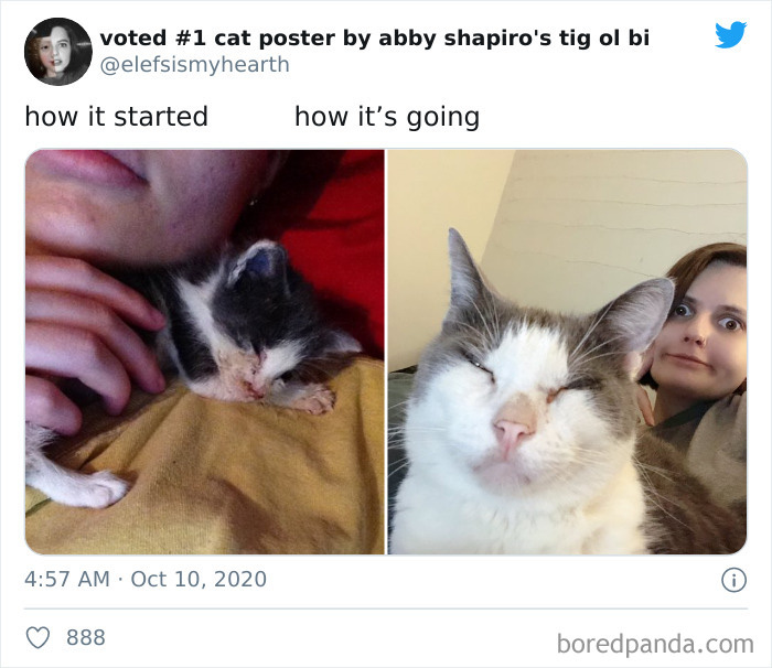 9144277988c3171a7967.jpg