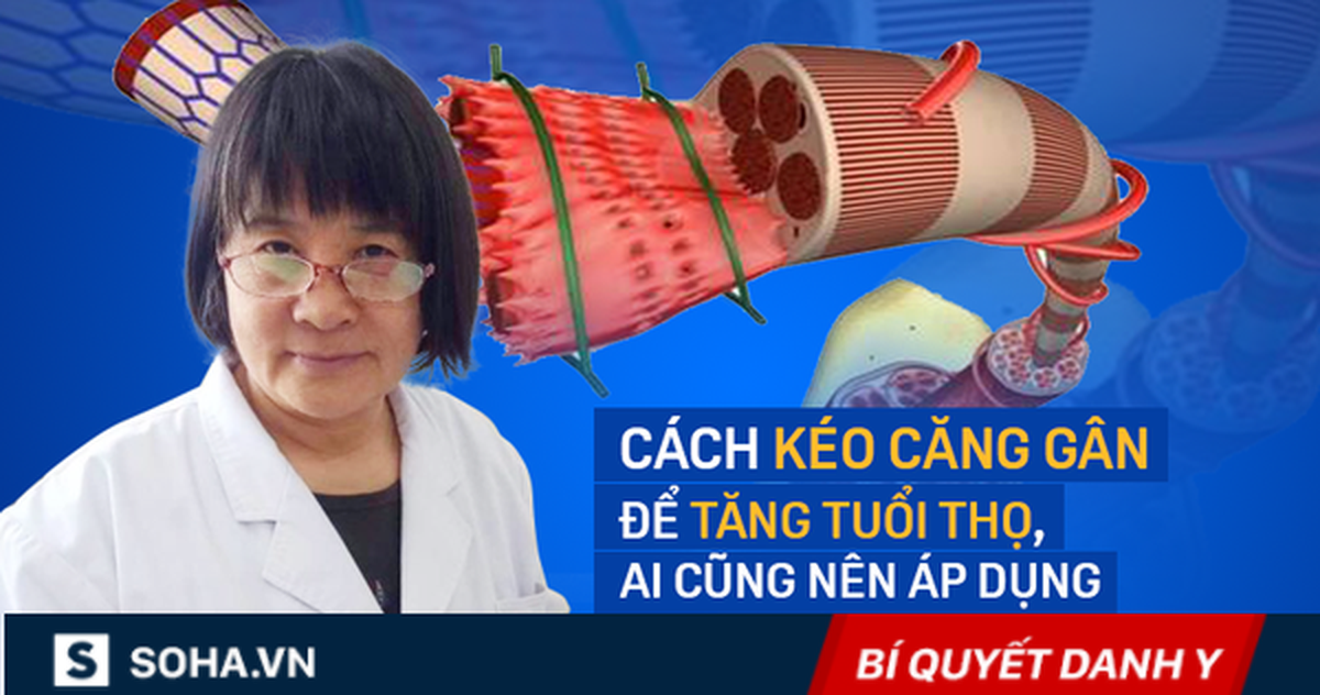915752d3a7b3902234ac.png