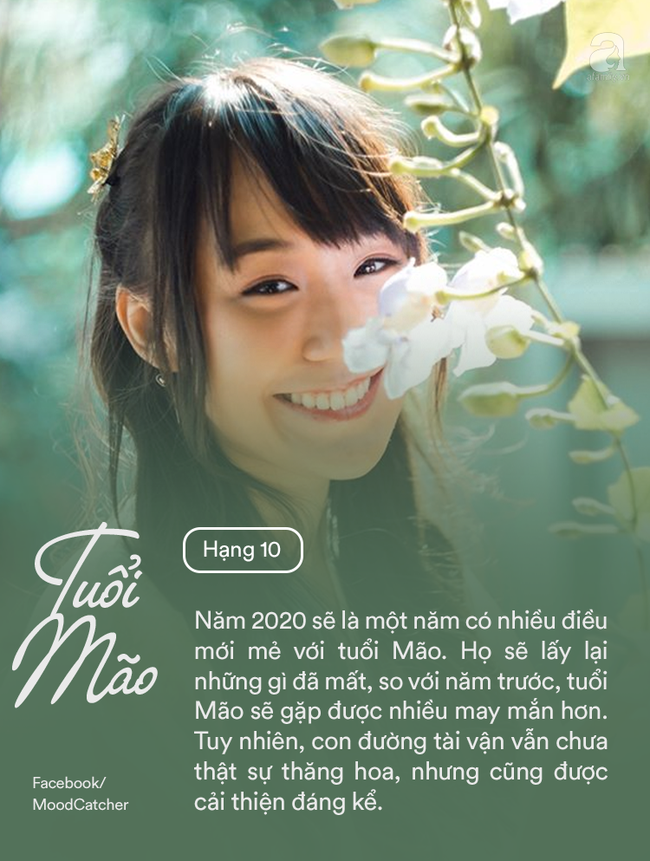 91c8c6341cc205692f48.png
