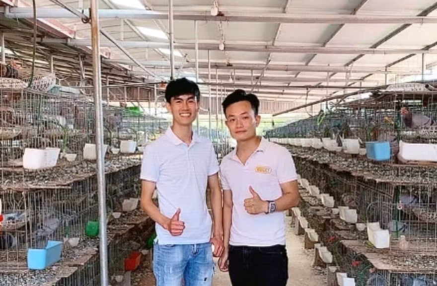91f06c59cdbfe62eda53.jpg