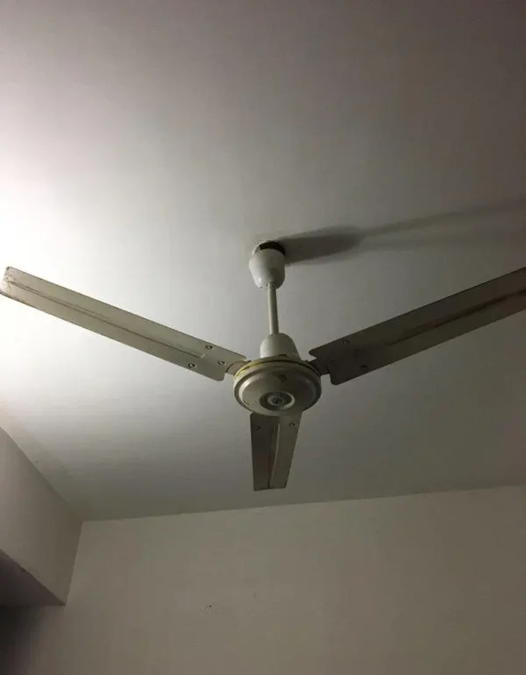 923e8db785f91b19a197.jpg