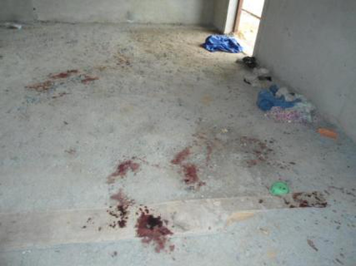 925449ba3daabed76bd1.jpg