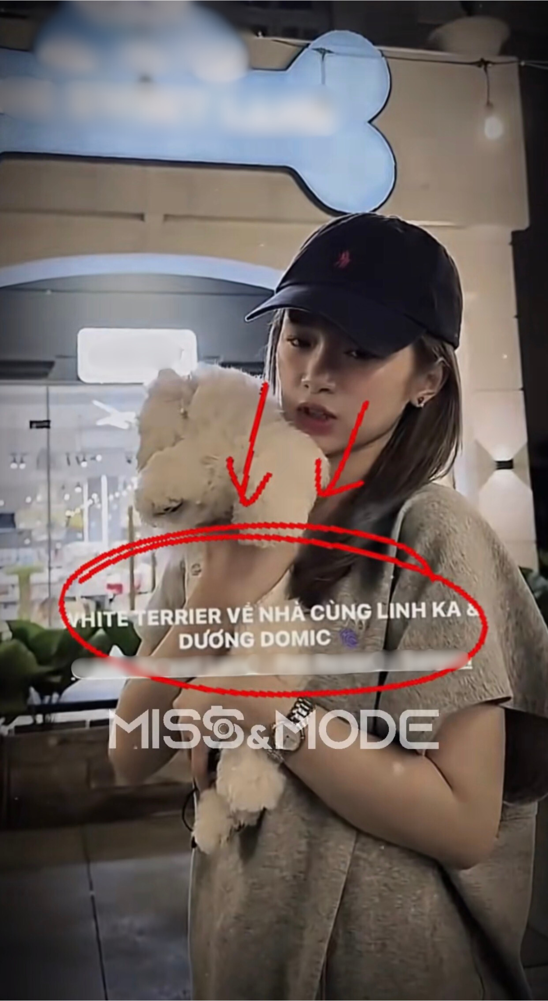 92abe594d148b9df87f4.png