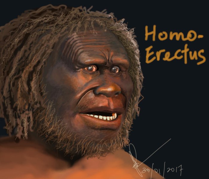 92b328df7424cf2ca890.jpg