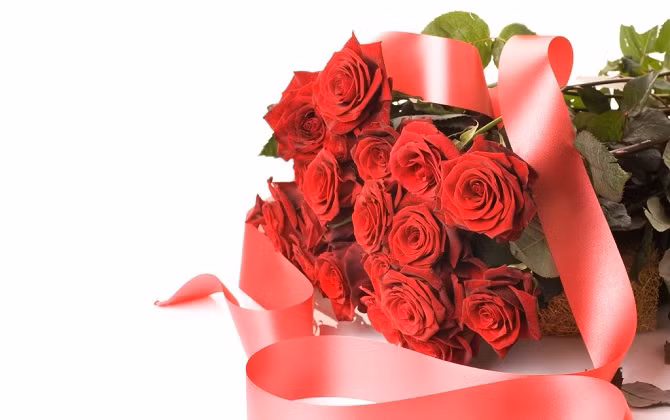 92c1729eb3d1fd438914.jpg