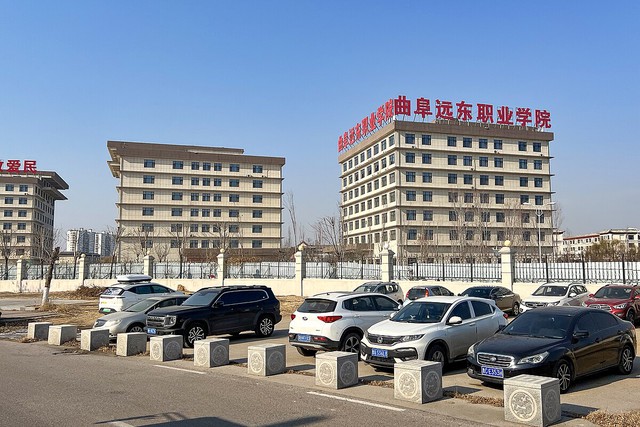 92d937adafb4684703bd.jpg