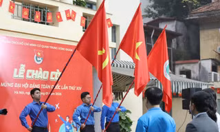 92e62144684e82202599.jpg