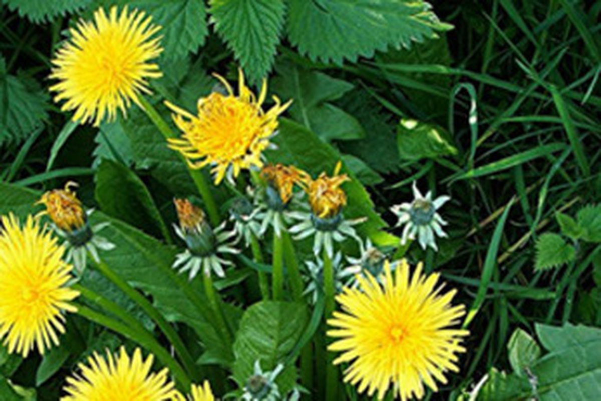 9322eb77ed3ec28550bb.jpg