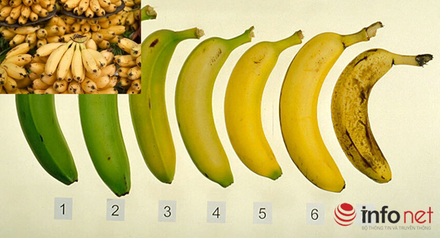 933d18402a8b5b7caa55.png