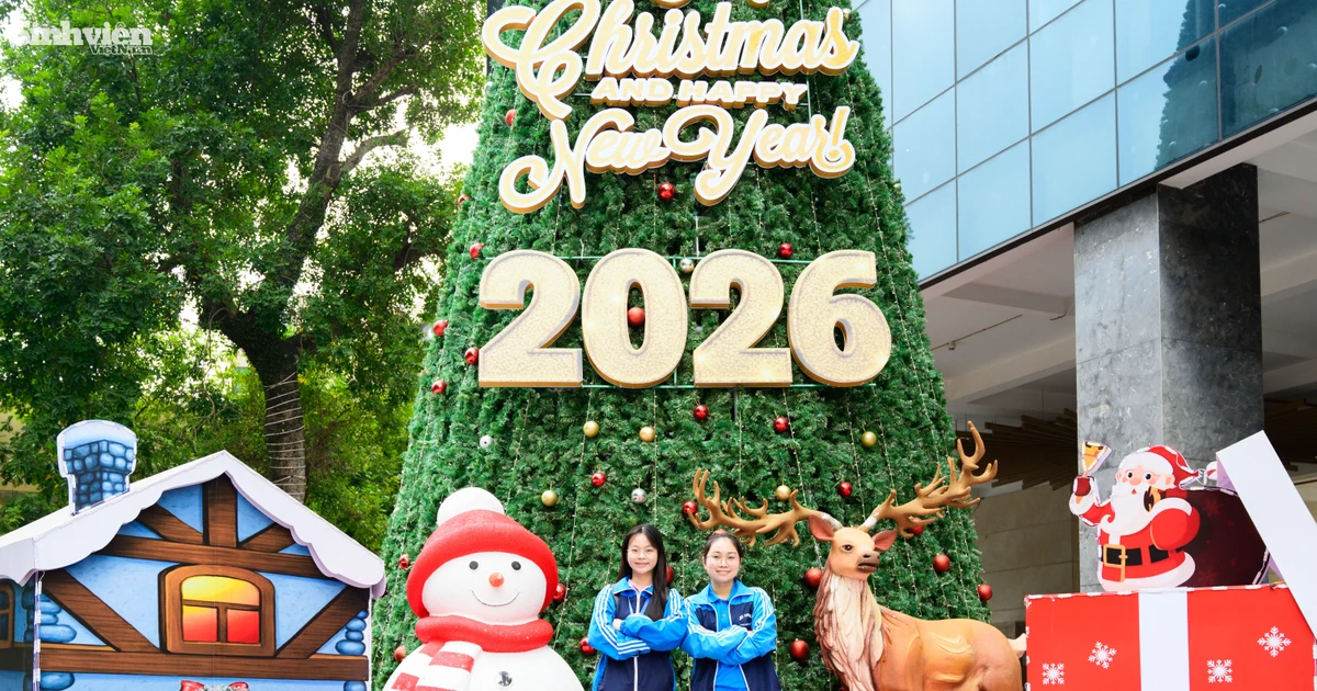 933d60fc4ebfd2cddee5.webp