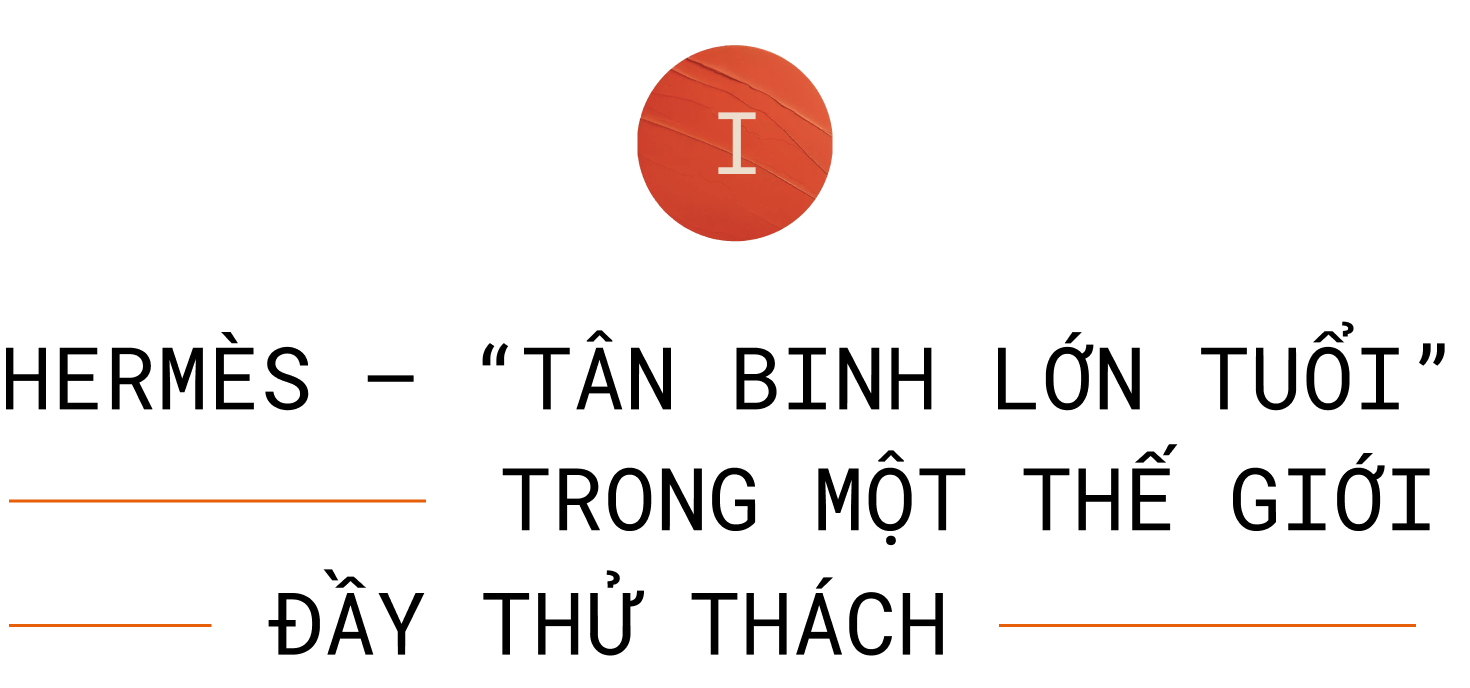 935185ac643df9d72a6a.png