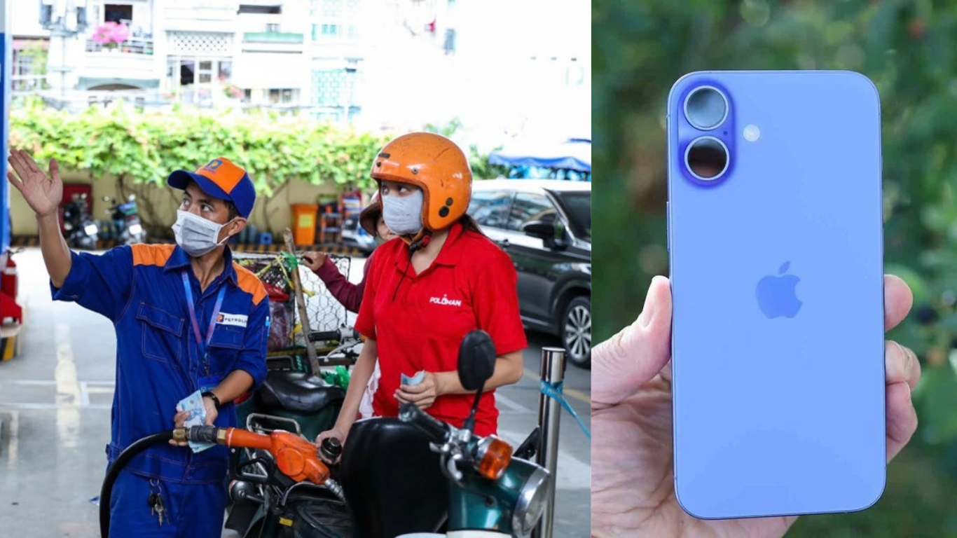 935fc877376f8ee23bc2.png