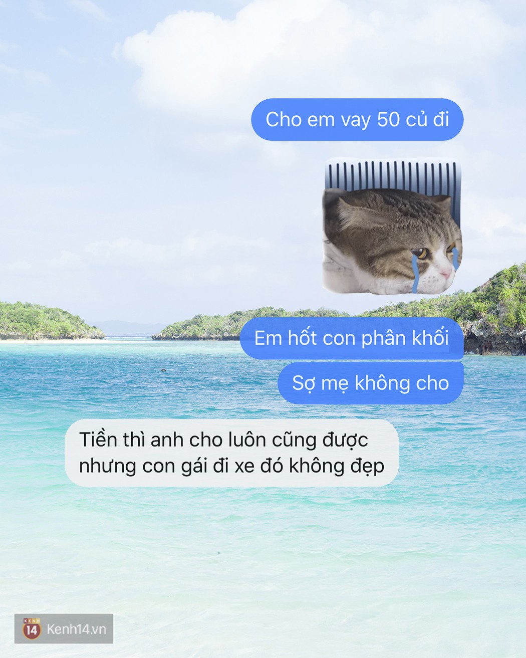9392e0e8a5cfac00b55a.jpg