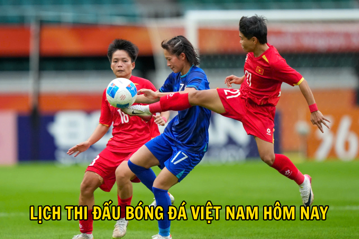 93a0d8538e42c3d84d69.jpg