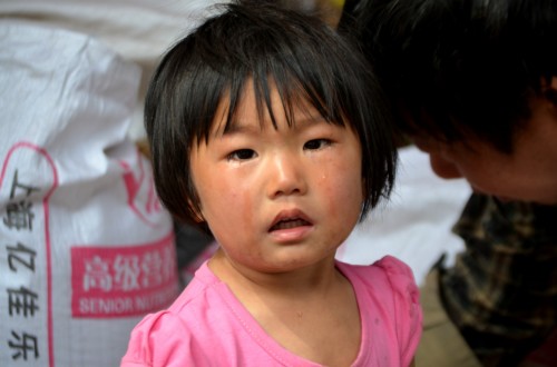 93ac0052497a31776aca.jpg