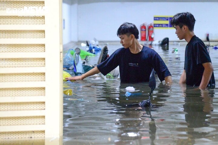 93cd50ec9cad26e9d556.jpg
