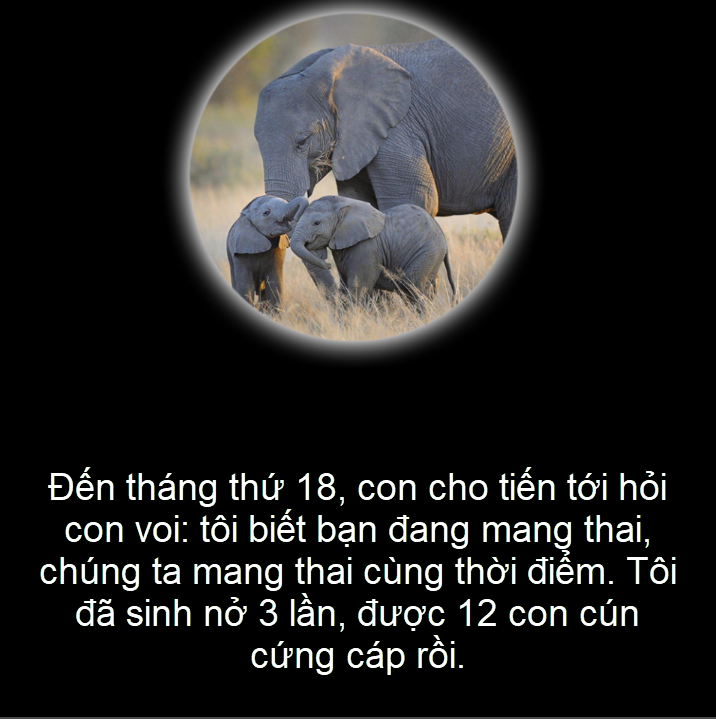 93e21fd31d81170d31e2.png