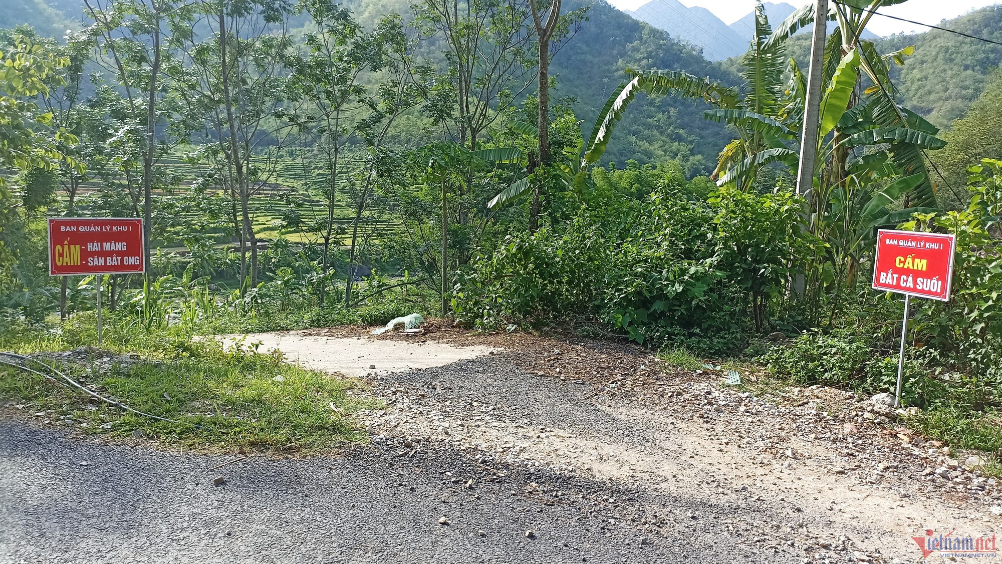 9401b1bdd63aa44647cc.jpg