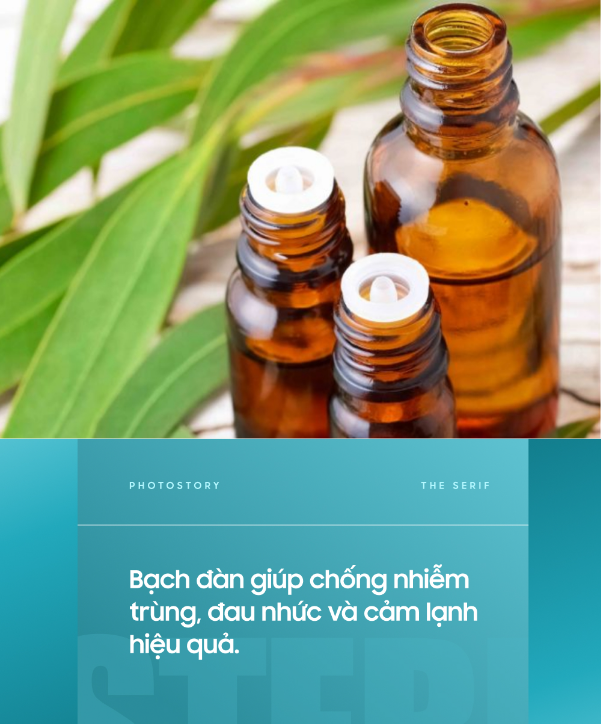 94106a7210a2707bde20.png