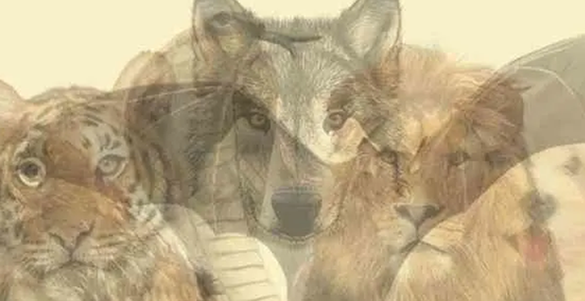 9414d3fc7251e68dd3c8.png