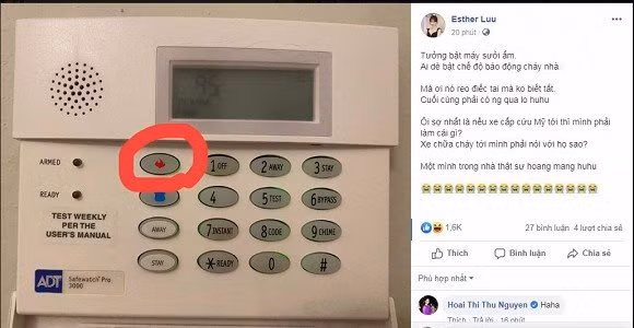 942bb66de95ea1d1d233.jpg