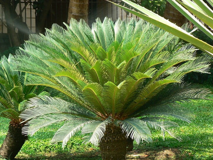 946929160dd26325d669.jpg