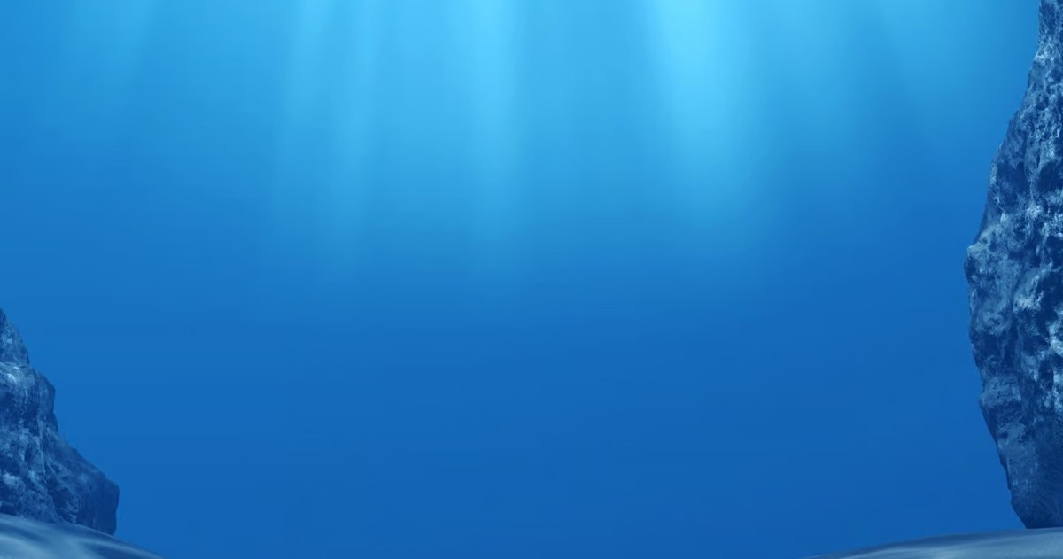 947291e4954bd46b0c2e.jpg