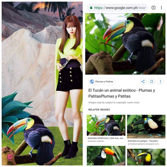 947484da6062adb054da.jpg