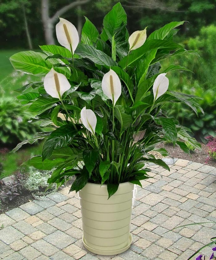 94f37d1a06632a195140.jpg