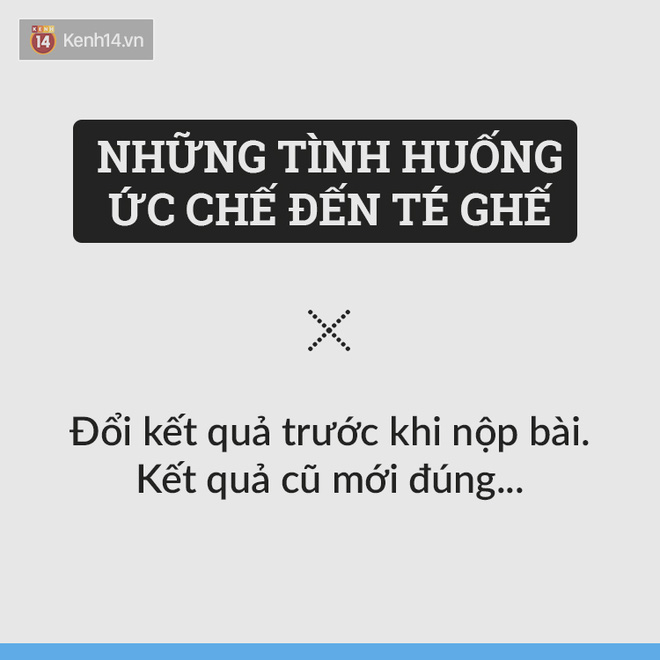 9527d30c351cb6d2da8e.jpg