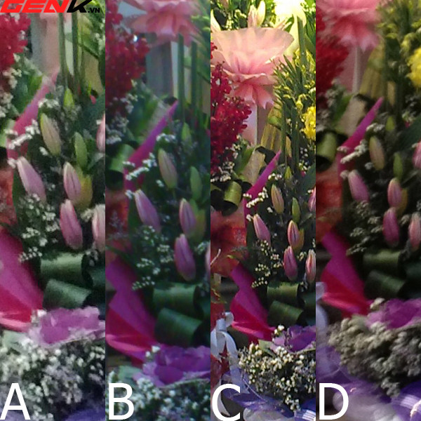957845145b40fa67f287.jpg